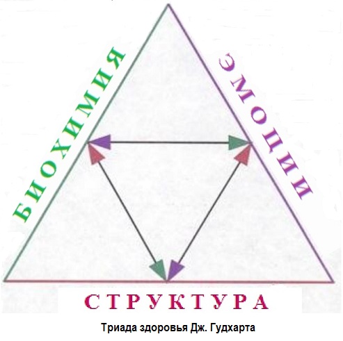 TRIAD_HEALTH-1.jpg TRIAD_HEALTH-1.jpg